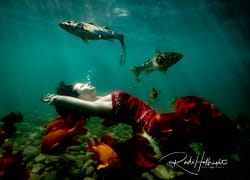 Model in red is photographed underwater along with a group of fish including orange garibaldi in the ocean next to Avalon, Catalina Island, CA 