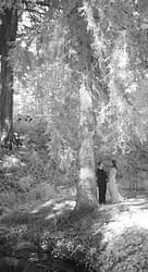 Black and white, infrared image of lesbian couple together in the forested area on the Mills College Campus